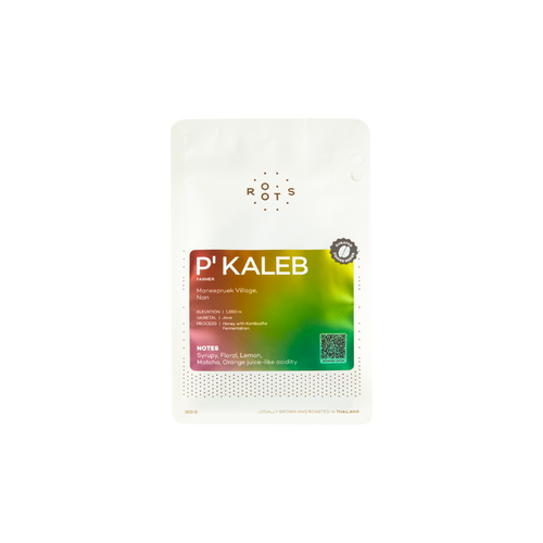 Curated Coffee Series: P’ Kaleb (Java with Kombucha Fermentation)